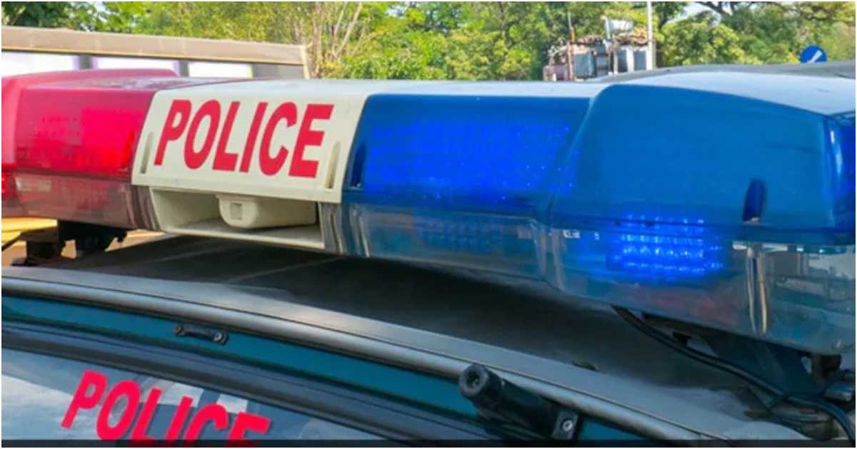 পুলিশের গাড়ি। ছবি: এনডিটিভি